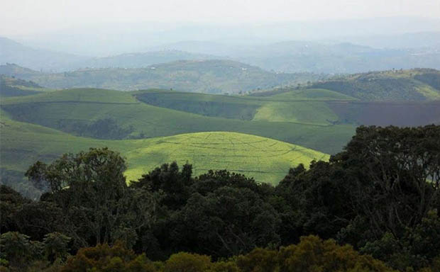 Kibira National Park Hike