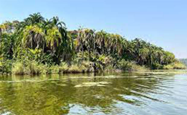Lake Rwihinda Forest