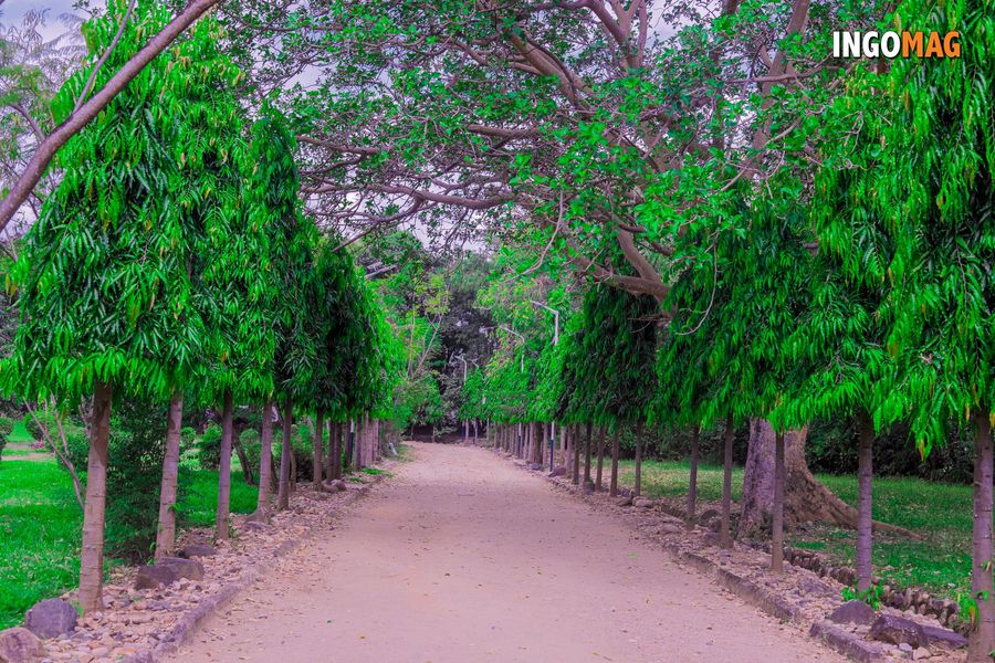 Urban Park