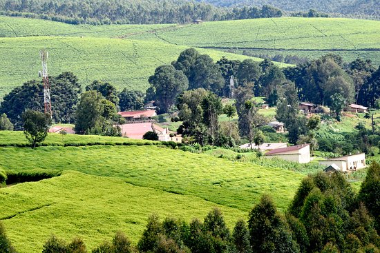 Bururi